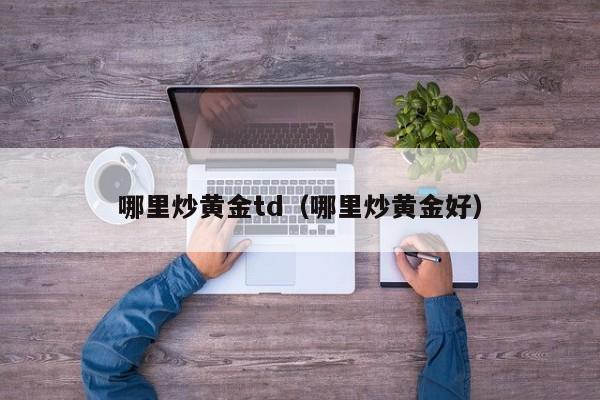 哪里炒黄金td（哪里炒黄金好）
