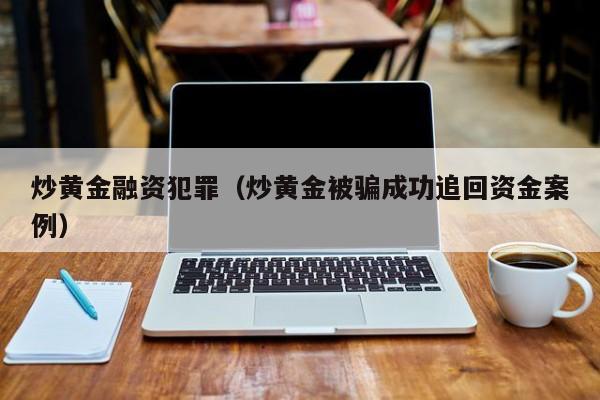 炒黄金融资犯罪（炒黄金被骗成功追回资金案例）