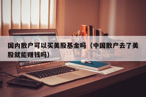 国内散户可以买美股基金吗（中国散户去了美股就能赚钱吗）