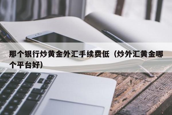 那个银行炒黄金外汇手续费低（炒外汇黄金哪个平台好）