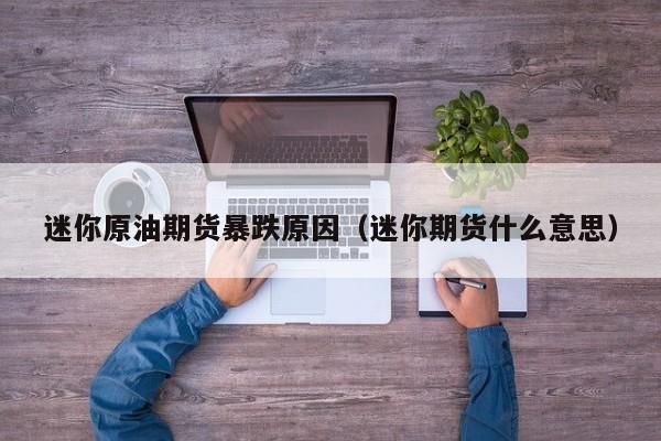 迷你原油期货暴跌原因（迷你期货什么意思）