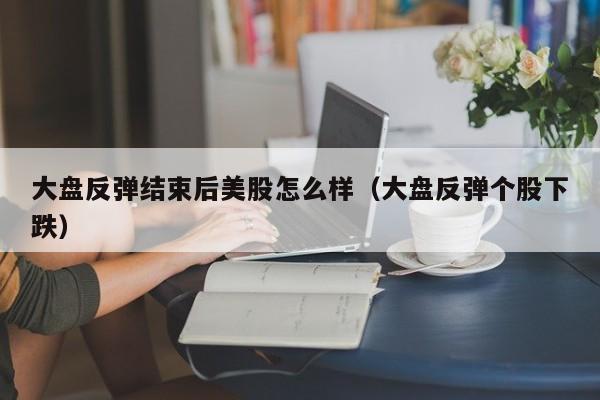 大盘反弹结束后美股怎么样（大盘反弹个股下跌）