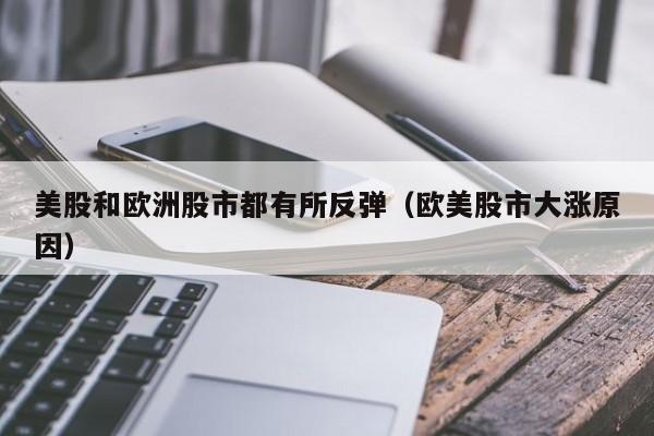 美股和欧洲股市都有所反弹（欧美股市大涨原因）