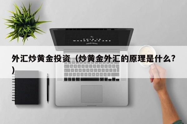 外汇炒黄金投资（炒黄金外汇的原理是什么?）