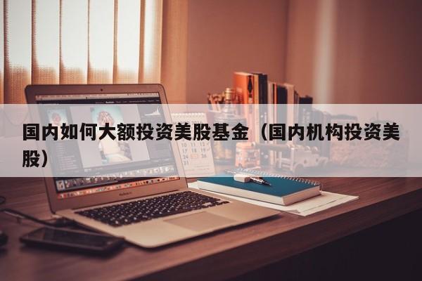 国内如何大额投资美股基金（国内机构投资美股）
