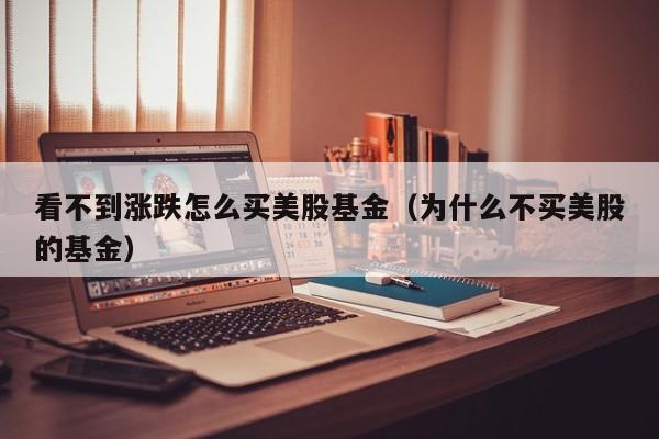 看不到涨跌怎么买美股基金（为什么不买美股的基金）