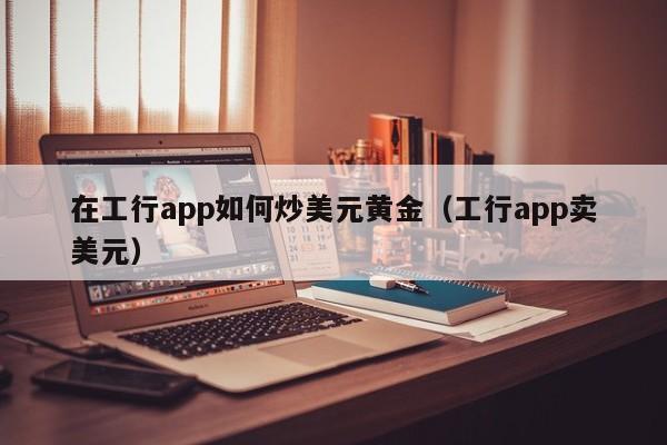 在工行app如何炒美元黄金（工行app卖美元）