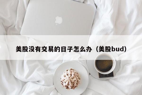 美股没有交易的日子怎么办（美股bud）